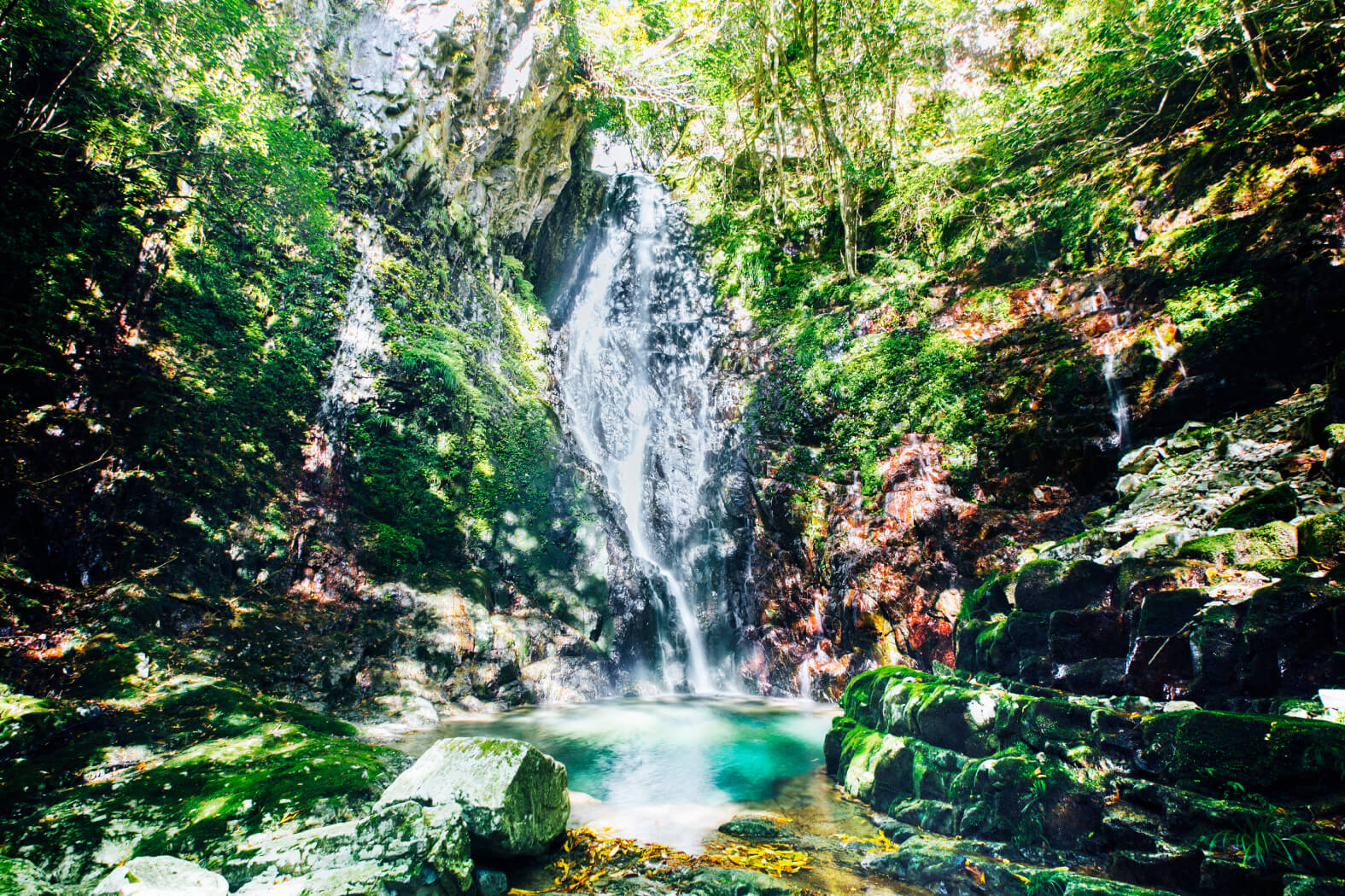 植魚の滝 ハリオの滝 秘境の滝 古座川町観光協会