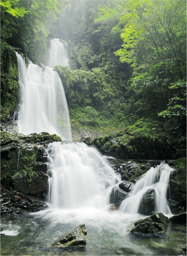 中津谷の滝の画像
