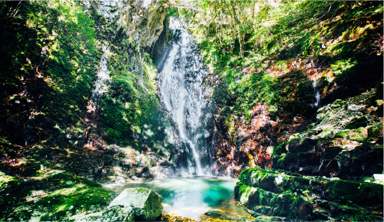 植魚の滝・ハリオの滝の画像