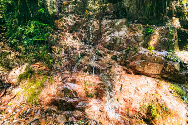 スマホ用植魚の滝・ハリオの滝の画像