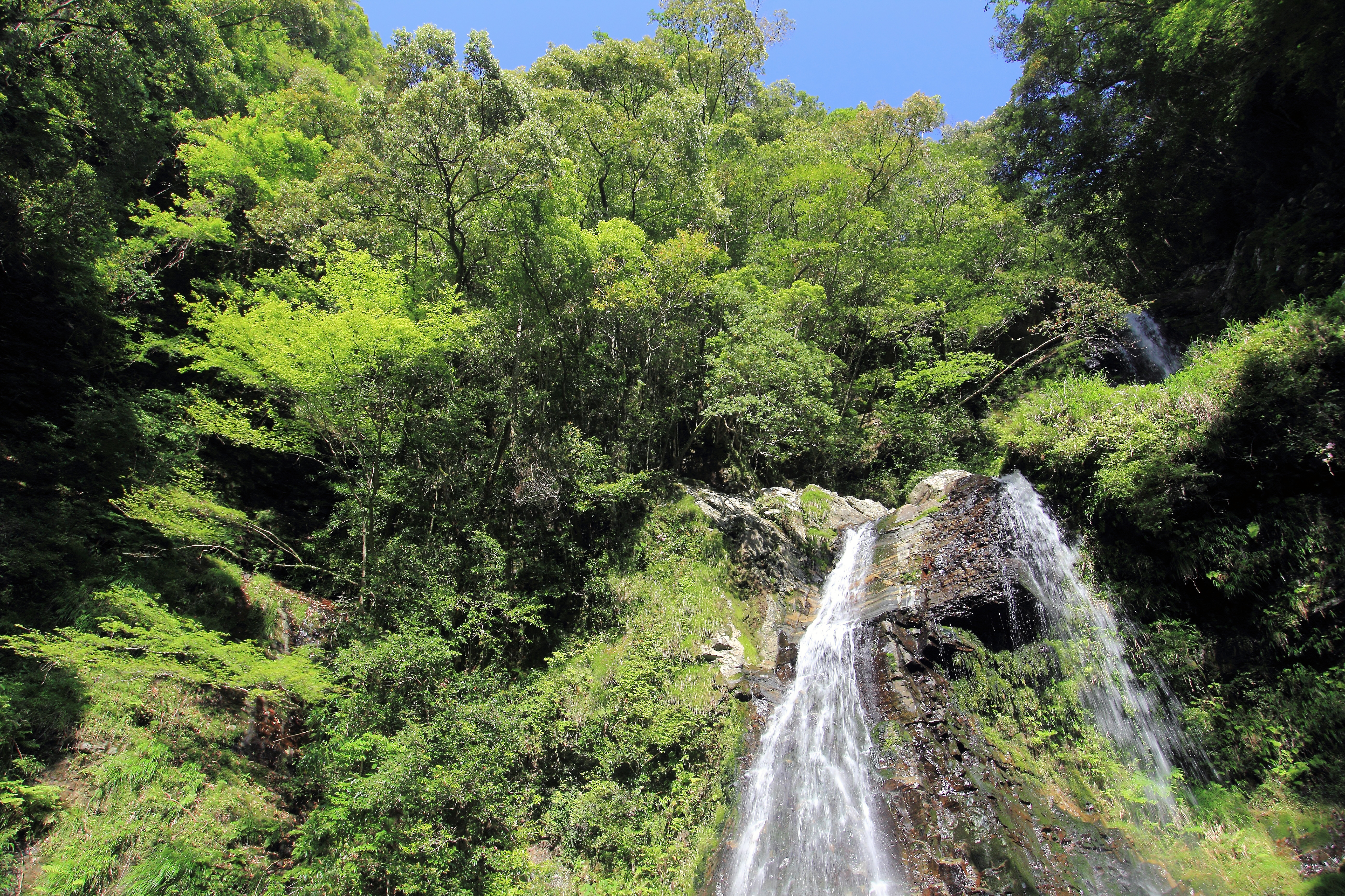 大桑の大滝